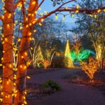 best outdoor solar christmas lights