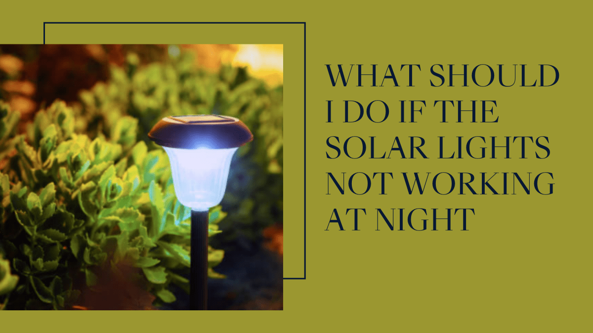 Solar Lights not working at night. Issues and Solutions