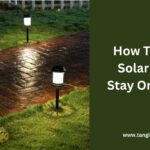 How To Make Solar Lights Stay On Longer