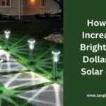 How to Make Dollar Store Solar Lights Brighter