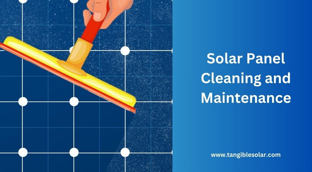 Solar Panel Cleaning and Maintenance