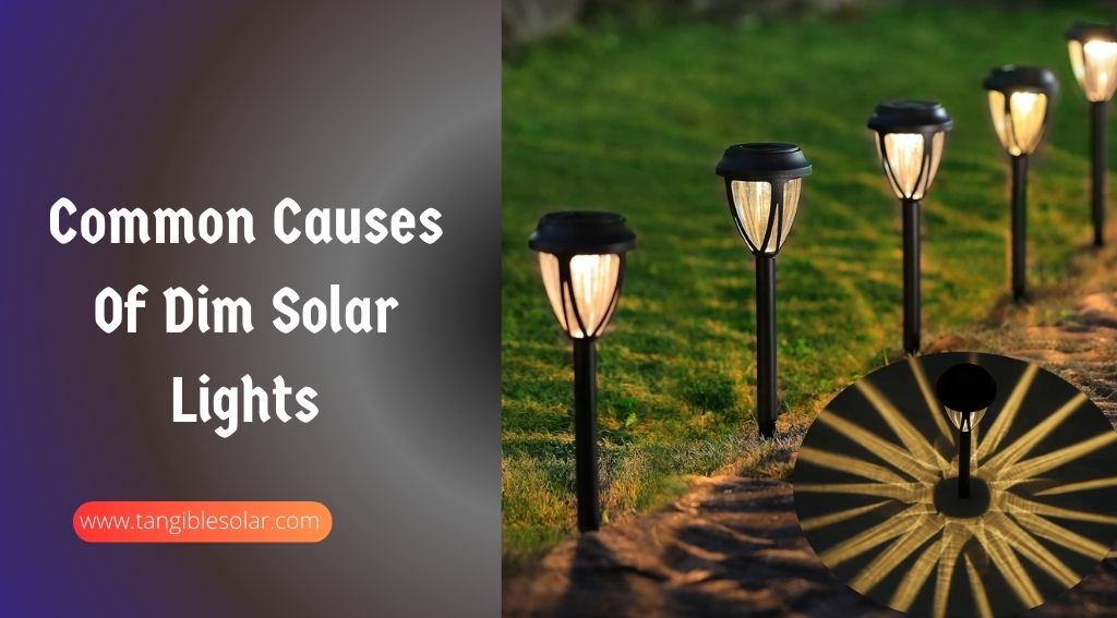 Common Causes Of Dim Solar Lights