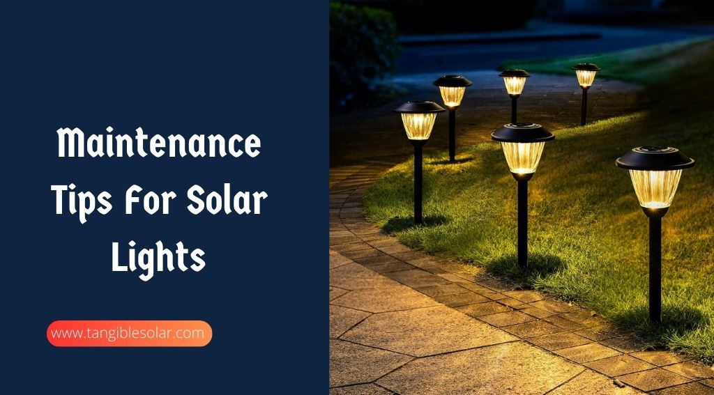 Maintenance Tips For Solar Lights